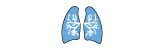 pulmologie.jpg